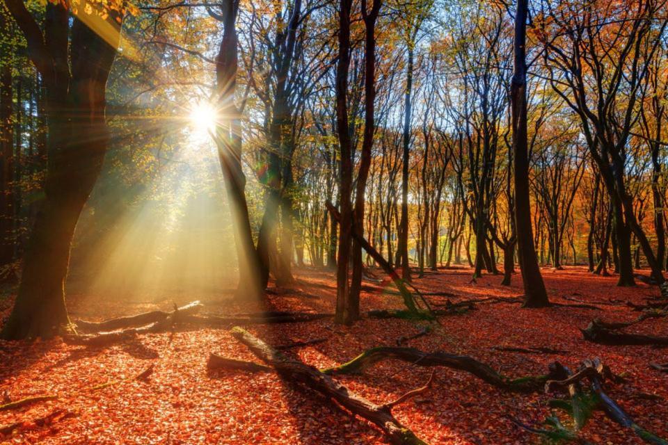 Enjoy Nature, Nice Stay And Beautiful Surroundings Путен Екстериор снимка